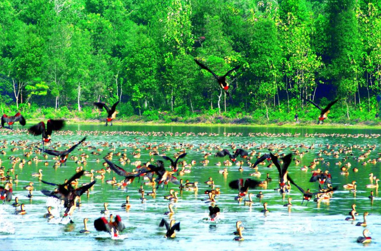 Sepahijala Wildlife Sanctuary A Beautiful Place To Visit In Tripura