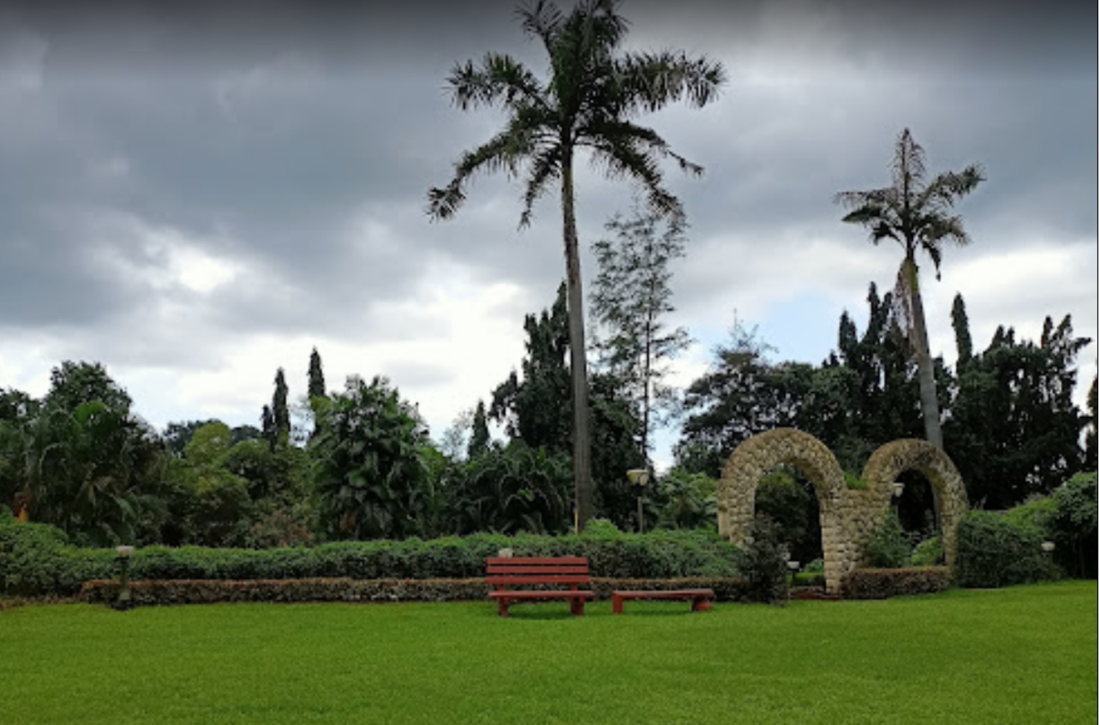 Hirwa Van Garden