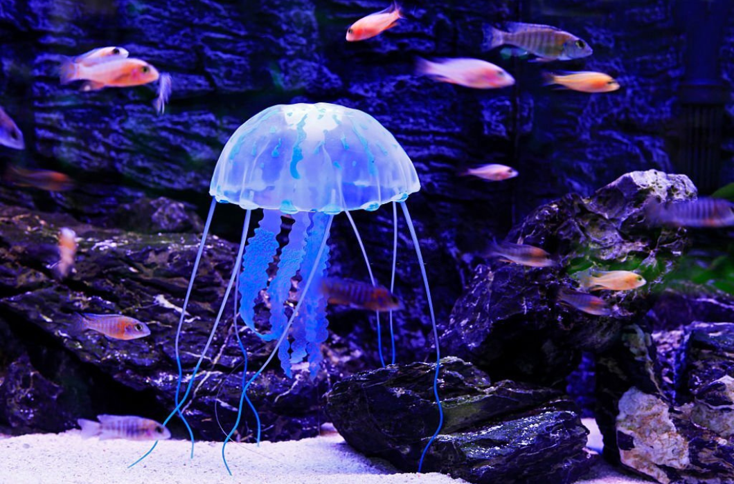 Sagarika Marine Research Aquarium