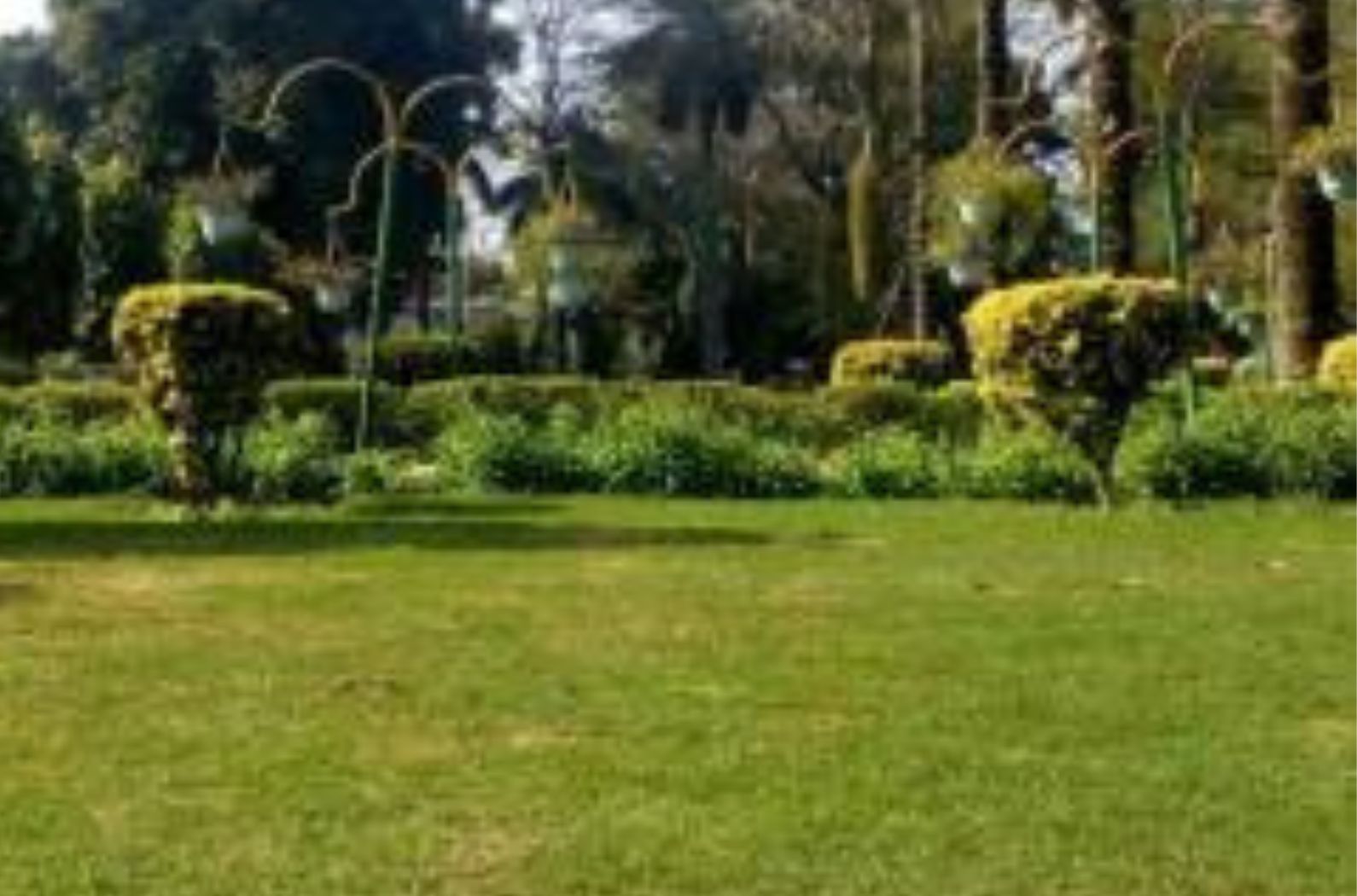 Inside Views of Ajmal Khan Park 
