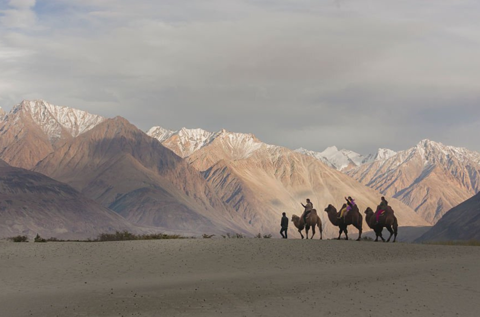 Nubra Valley magnificent pic