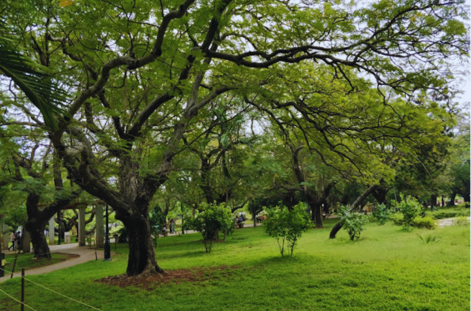 Bharathi Park