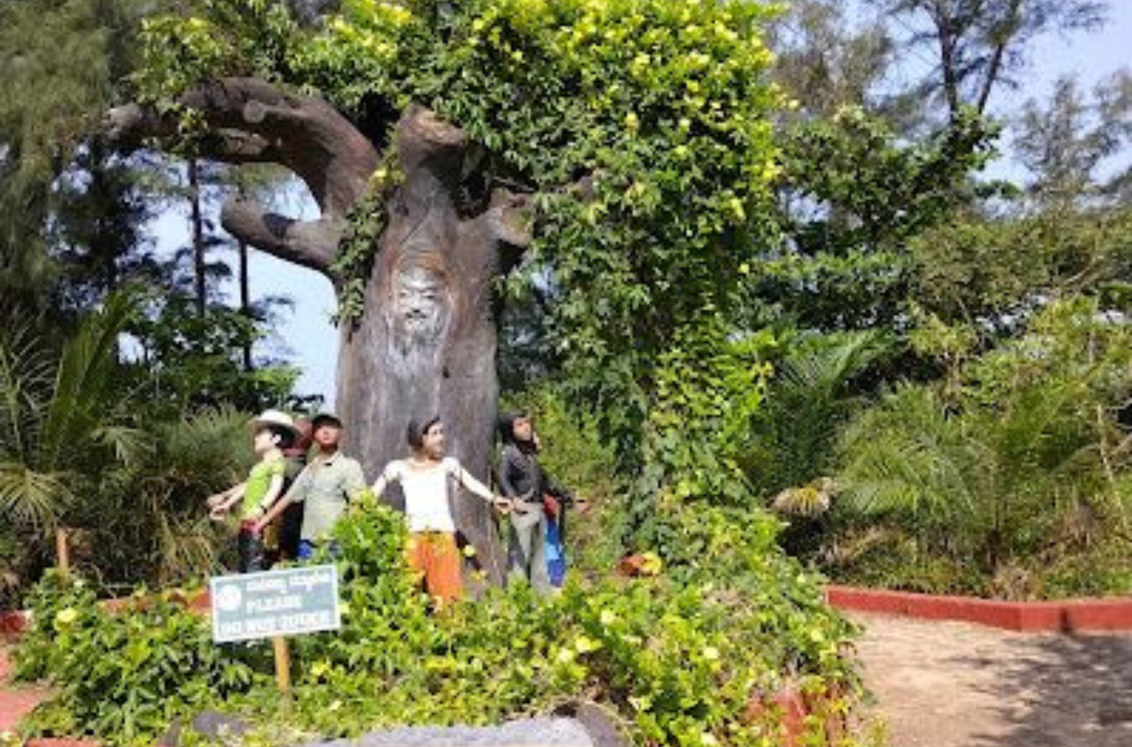 Tannirubavi TREE PARK in side photo