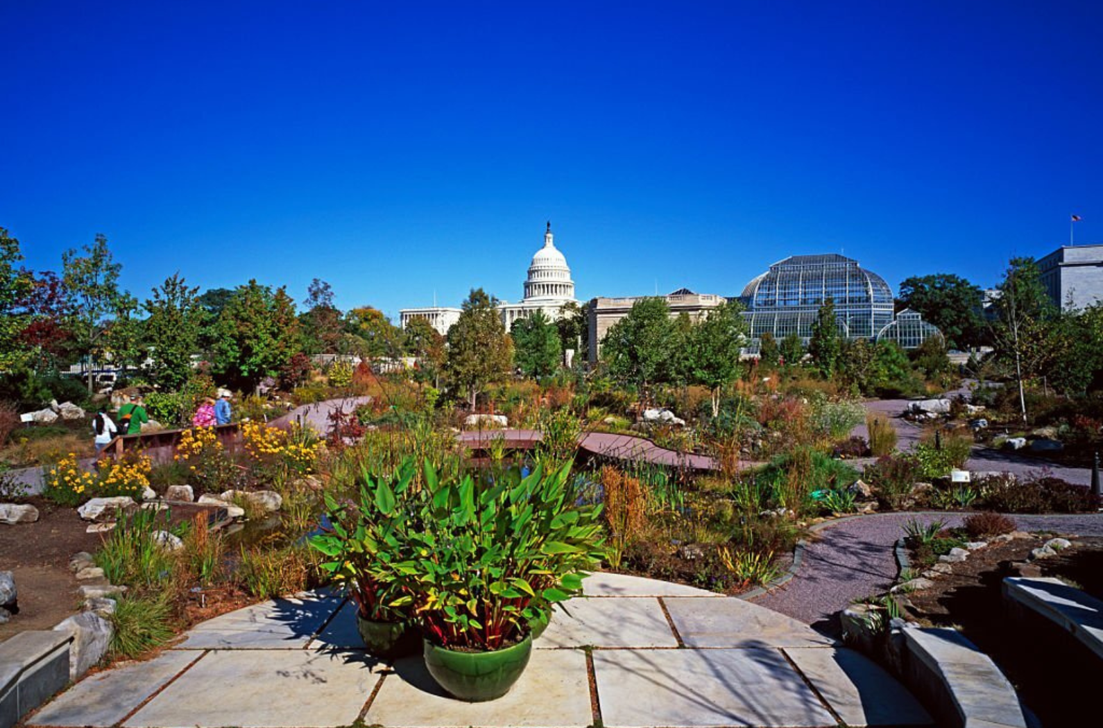 Government Botanical Garden view photo