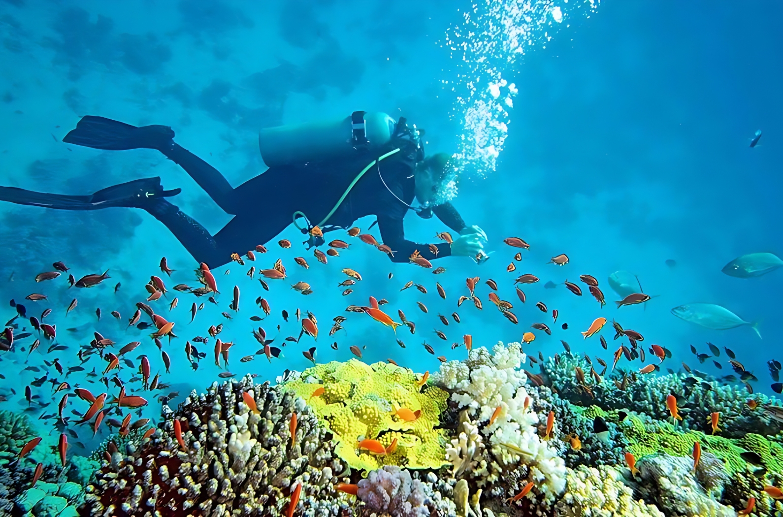 Andrott Island, Lakshadweep