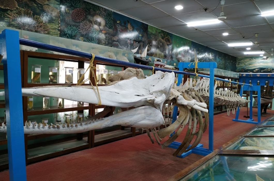 Marine Aquarium and Museum at Kavaratti island