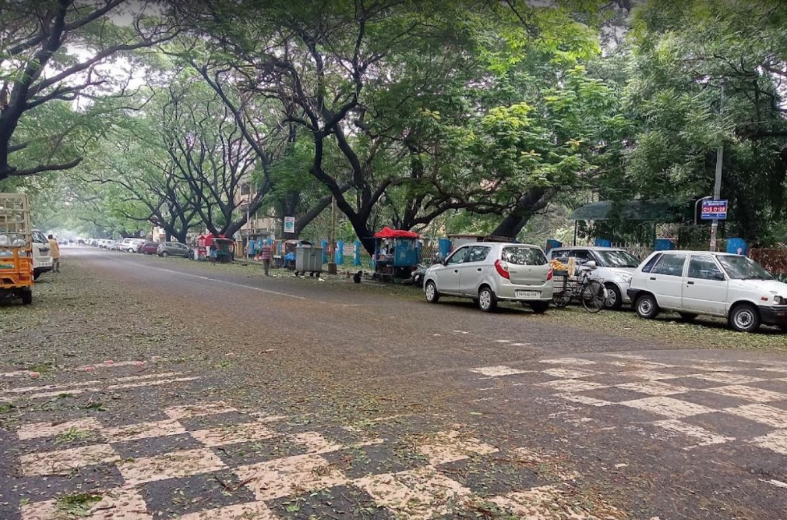 Bougainvillea Park Chandigarh