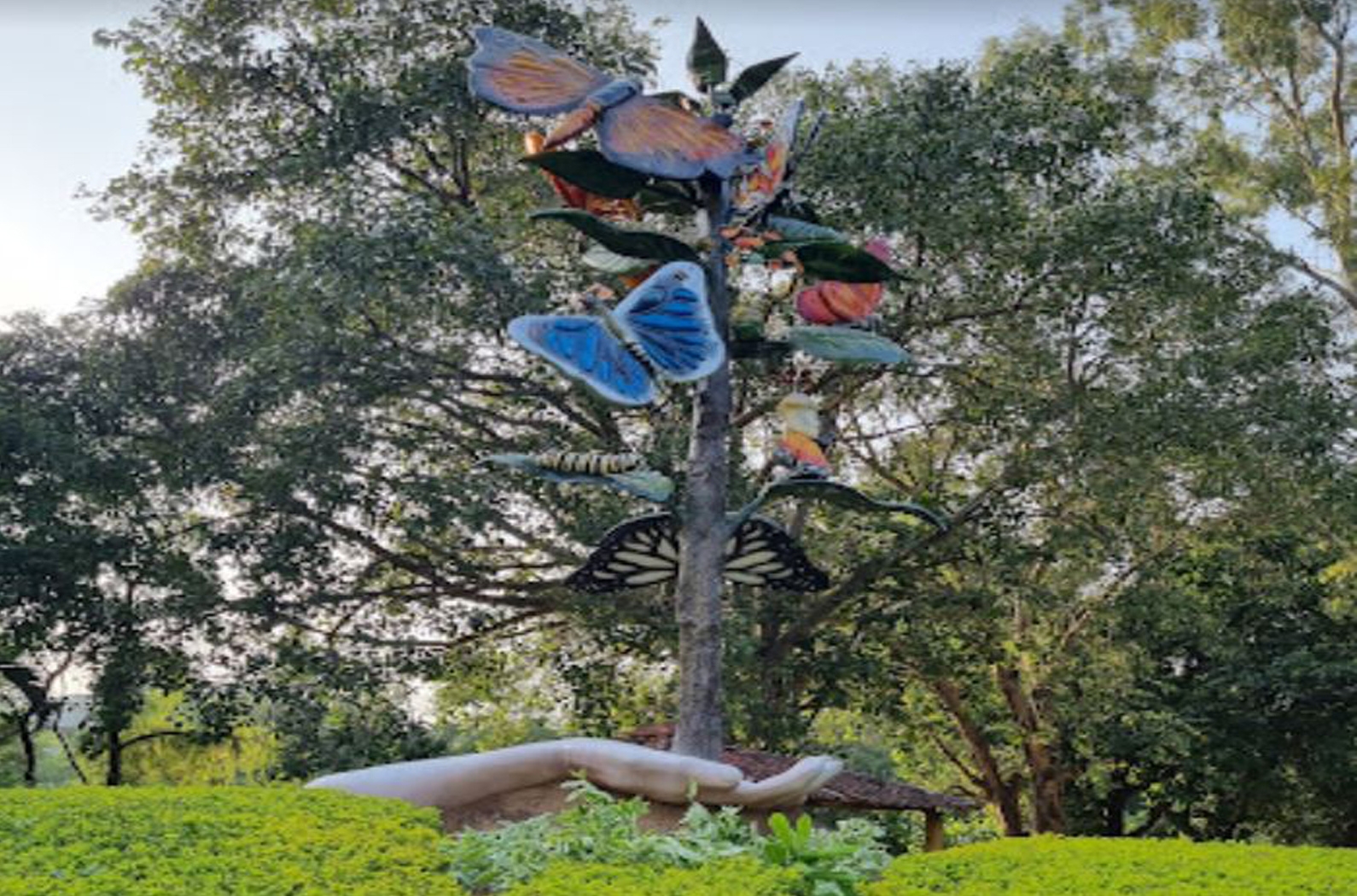 Butterfly Park Chandigarh