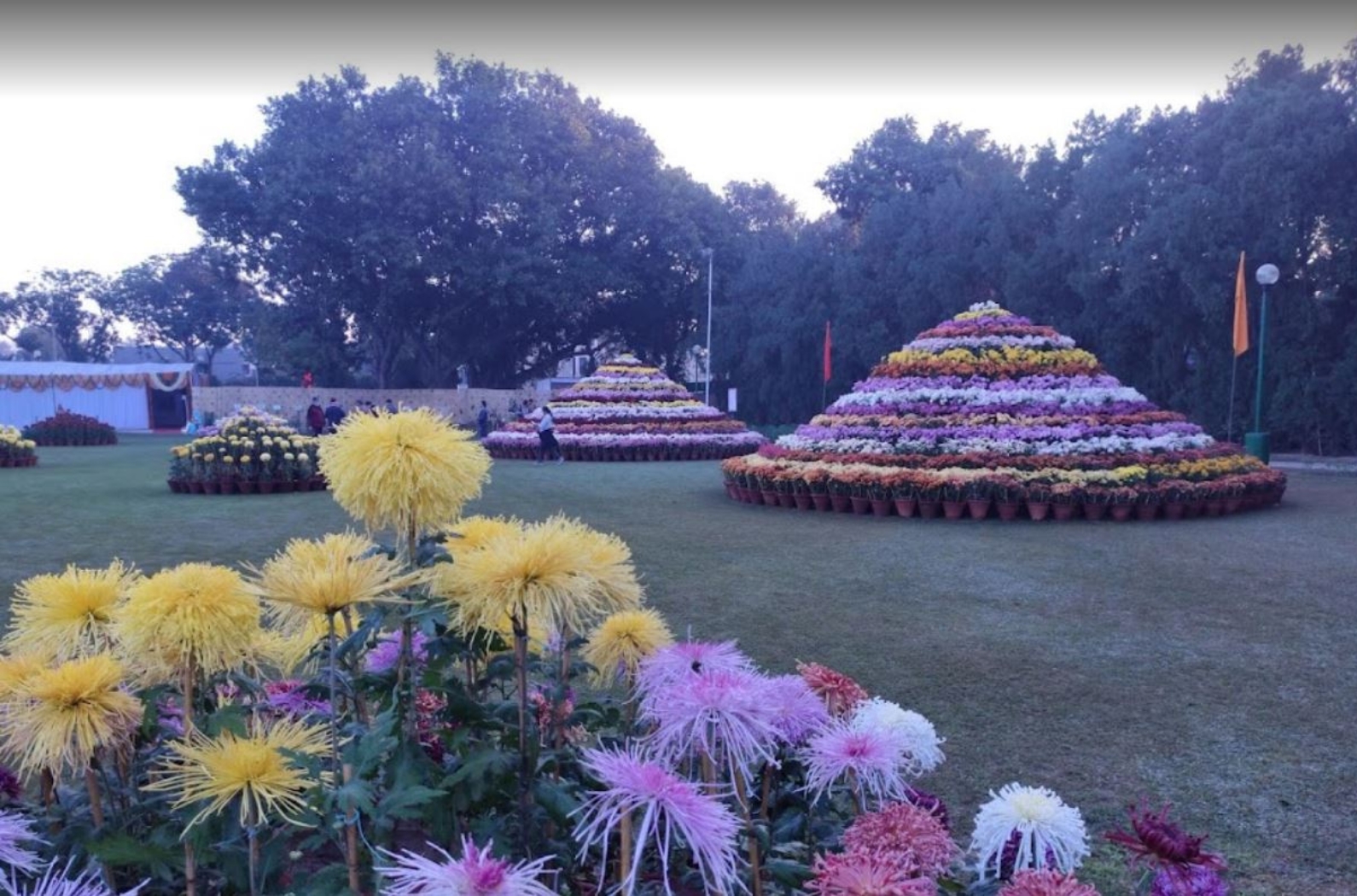 Terraced Garden in Chandigarh