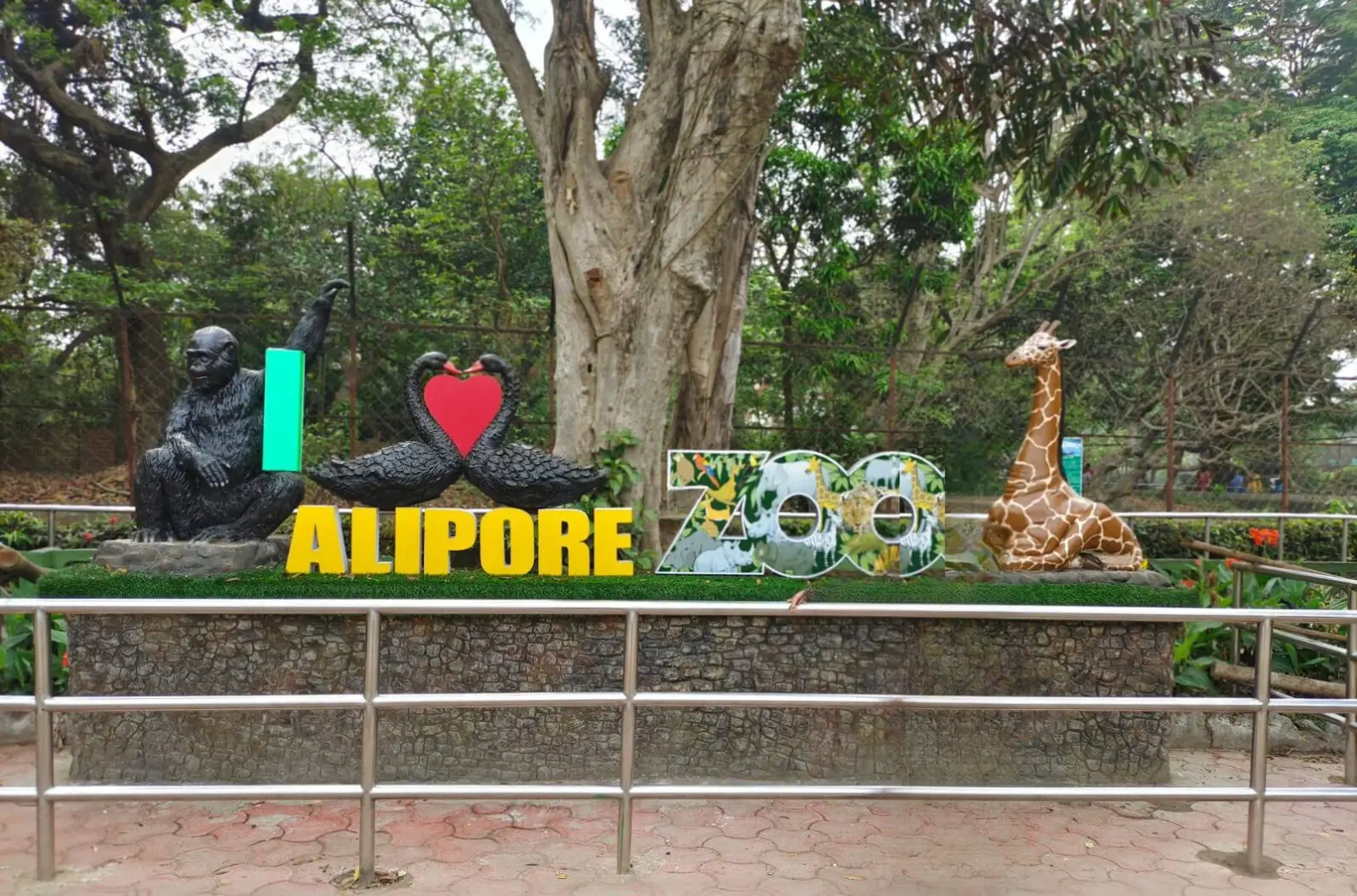 I love Alipore Zoo