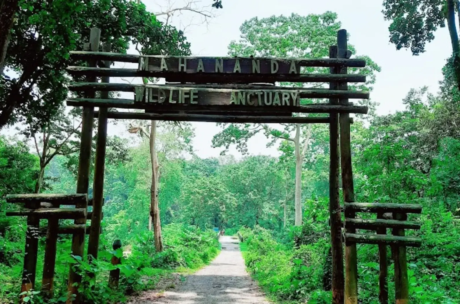 Infront of Mahananda Wildlife Sanctuary