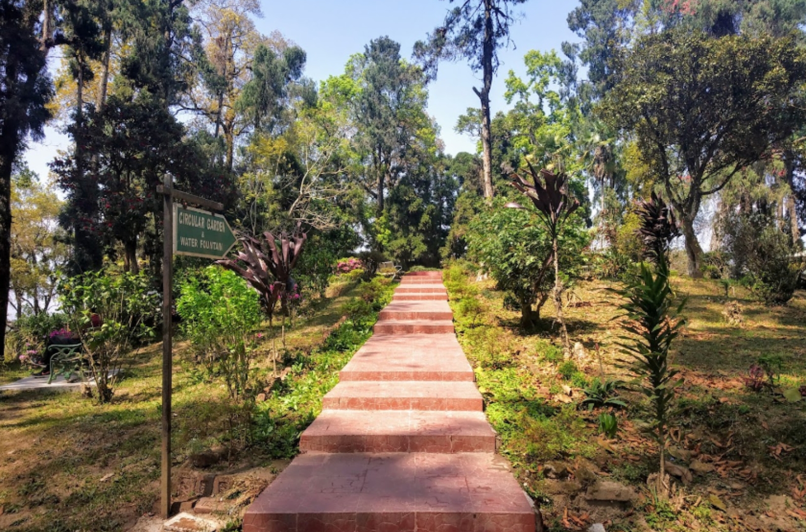 Inside Bankim Chandra Park