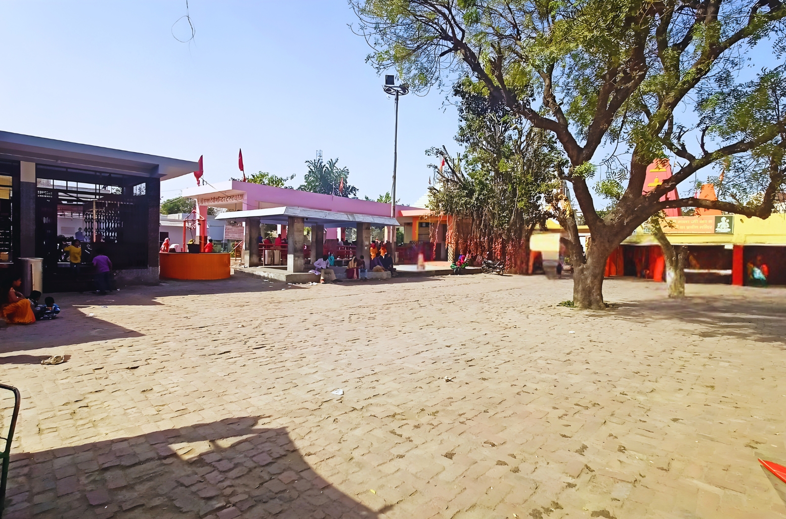 Inside views of Mansa Devi Temple