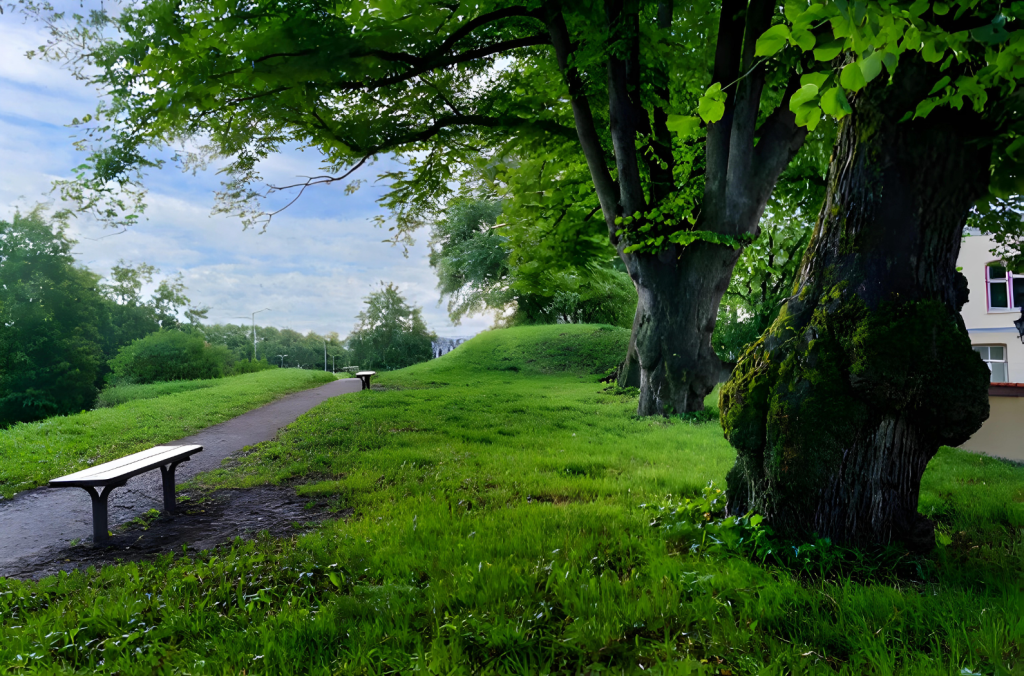 Kaargil Park, Kanpur's largest park to go away from choric world