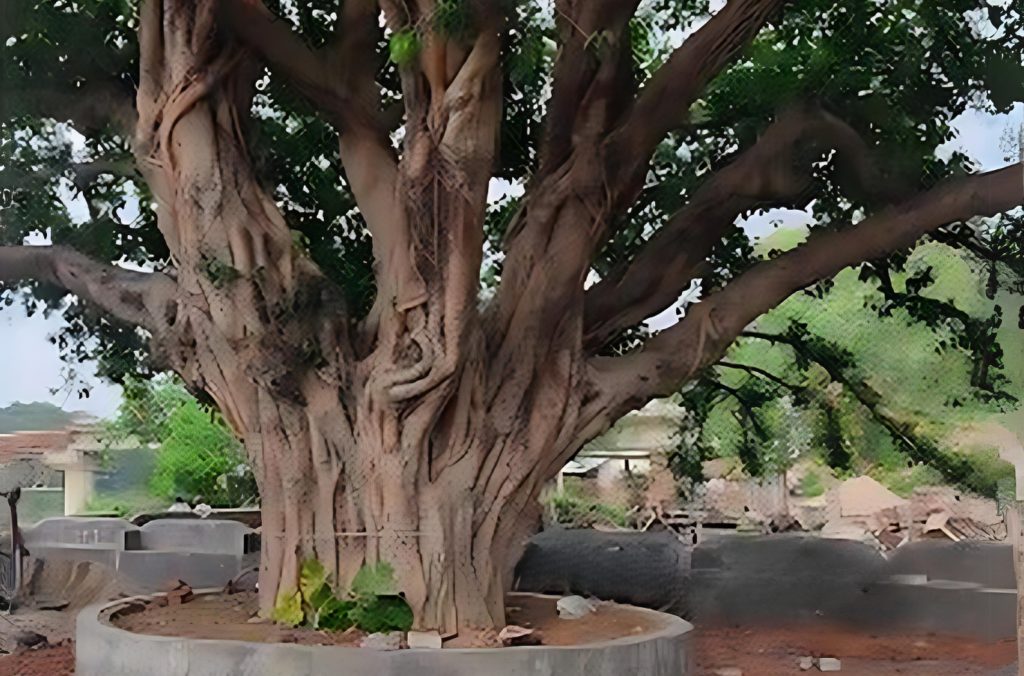 Yamdagni Ashram - Historical Temple in Jaunpur Uttar Pradesh