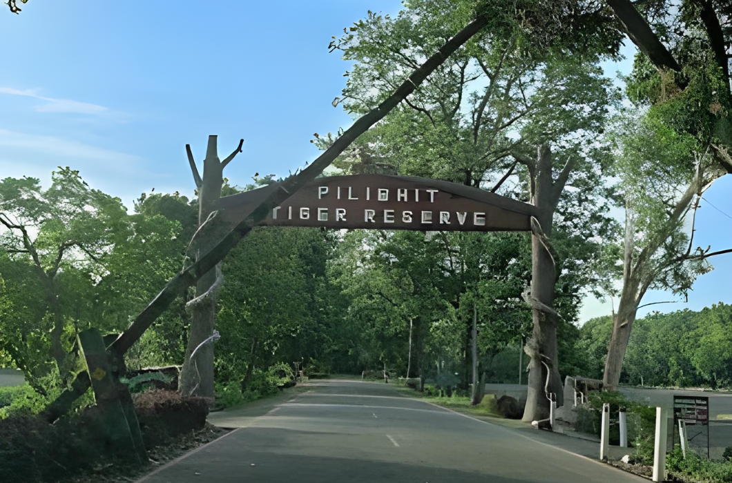 Pilibhit Tiger Reserve - A reserve forest in Shahjahanpur