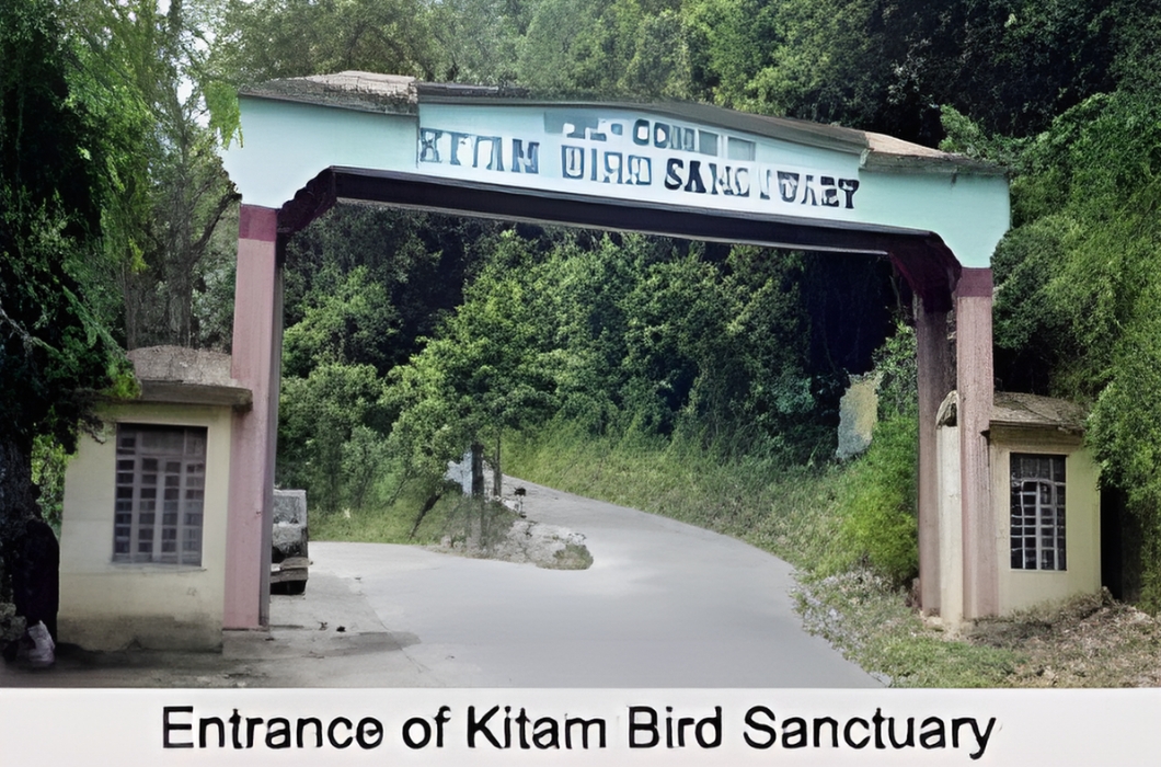 Kitam Bird Sanctuary- Explore Sikkim's Avian Wonderland