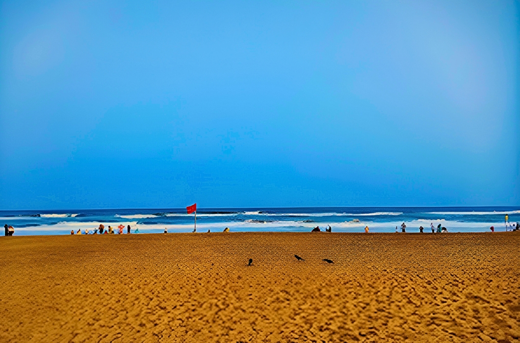 Famous Blue Flag Beach in Puri