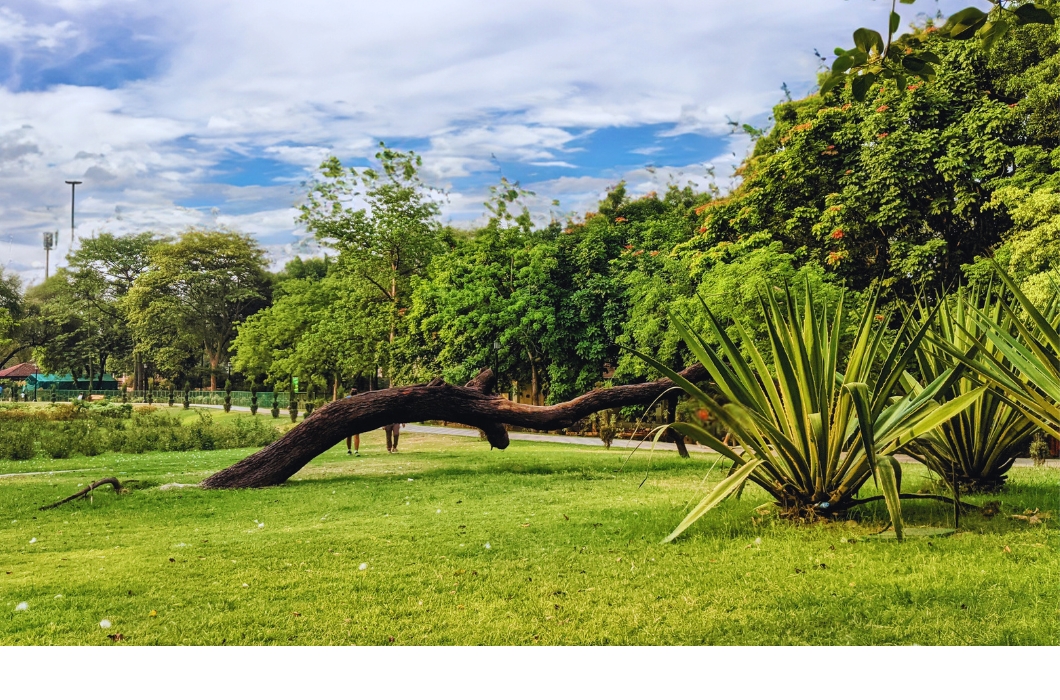 Dr. Ram Manohar Lohia Park