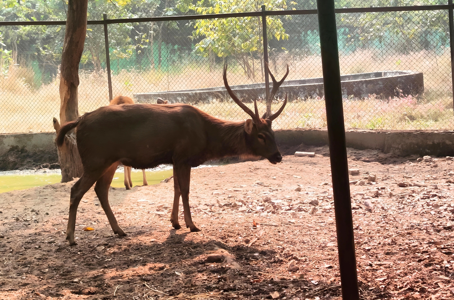 Sambalpur Zoo