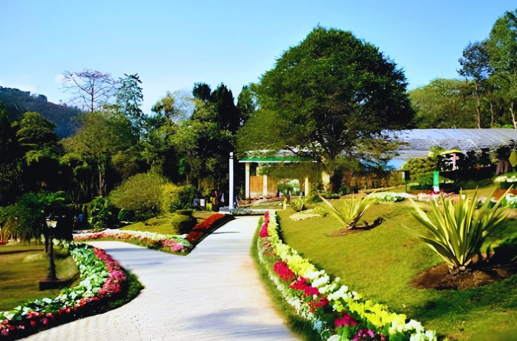 Saramsa Garden