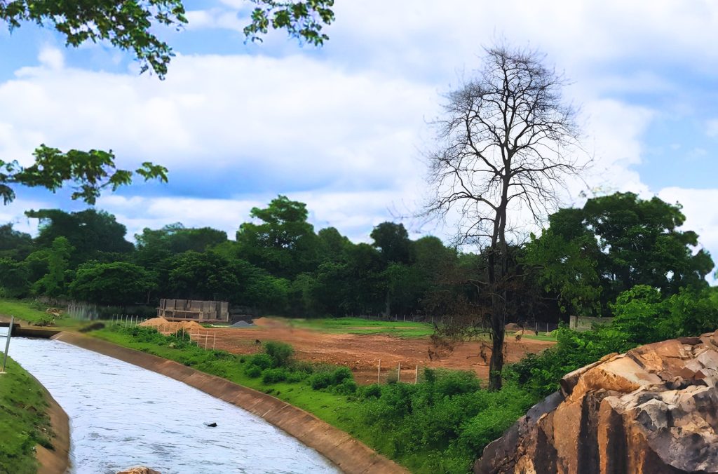 Balidiha dam