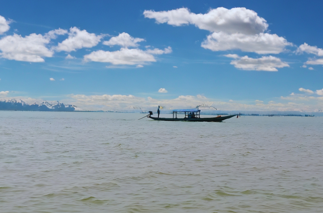 Chilika Satapada Dolphin Habitat