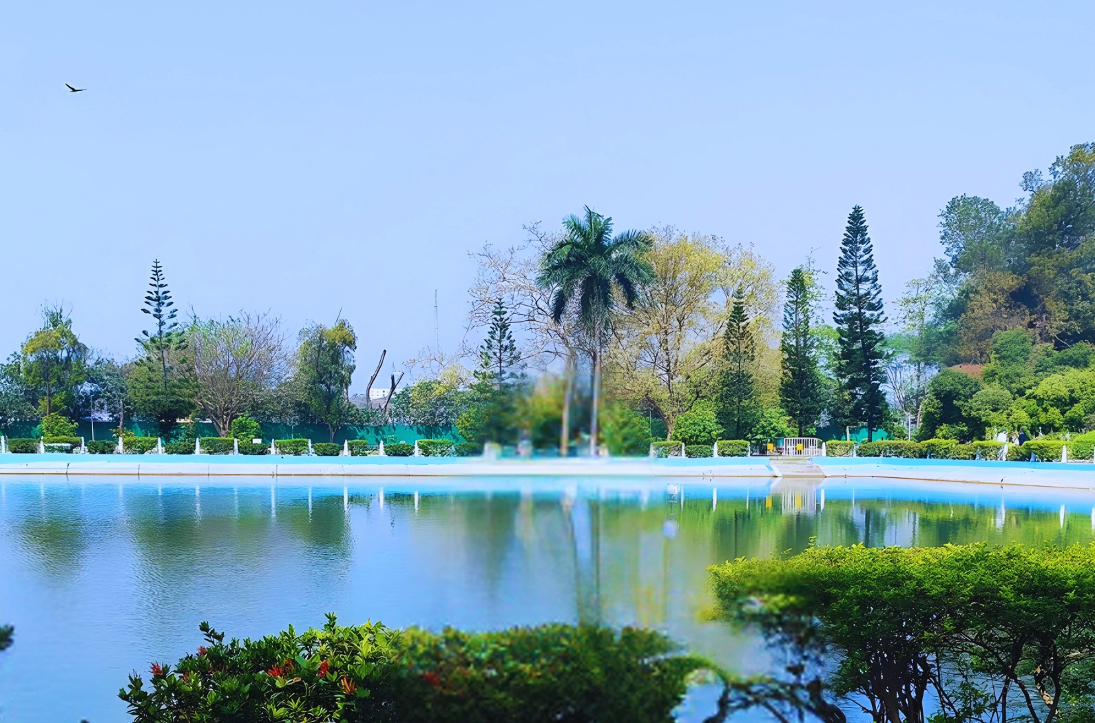 Elliot Park's main attraction is the big pond near Kolkata