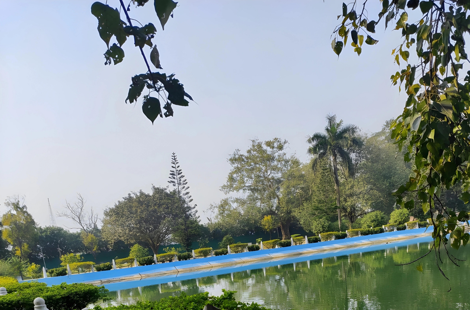 green trees and pond inside Elliot Park