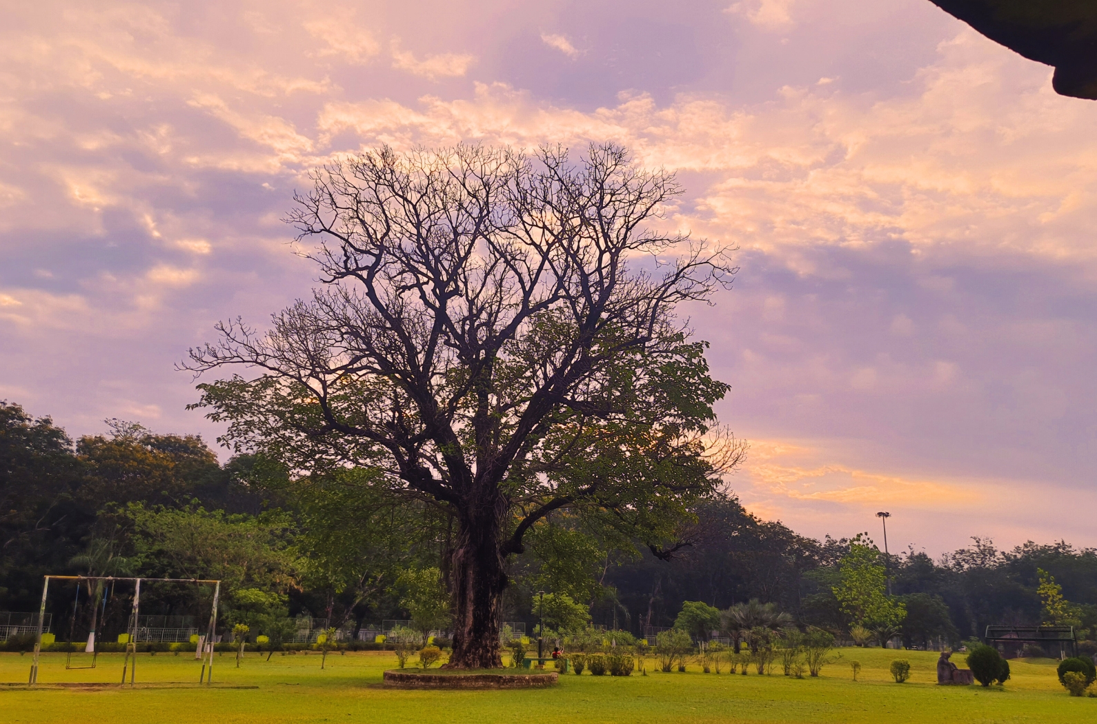 Ispat Nehru Park