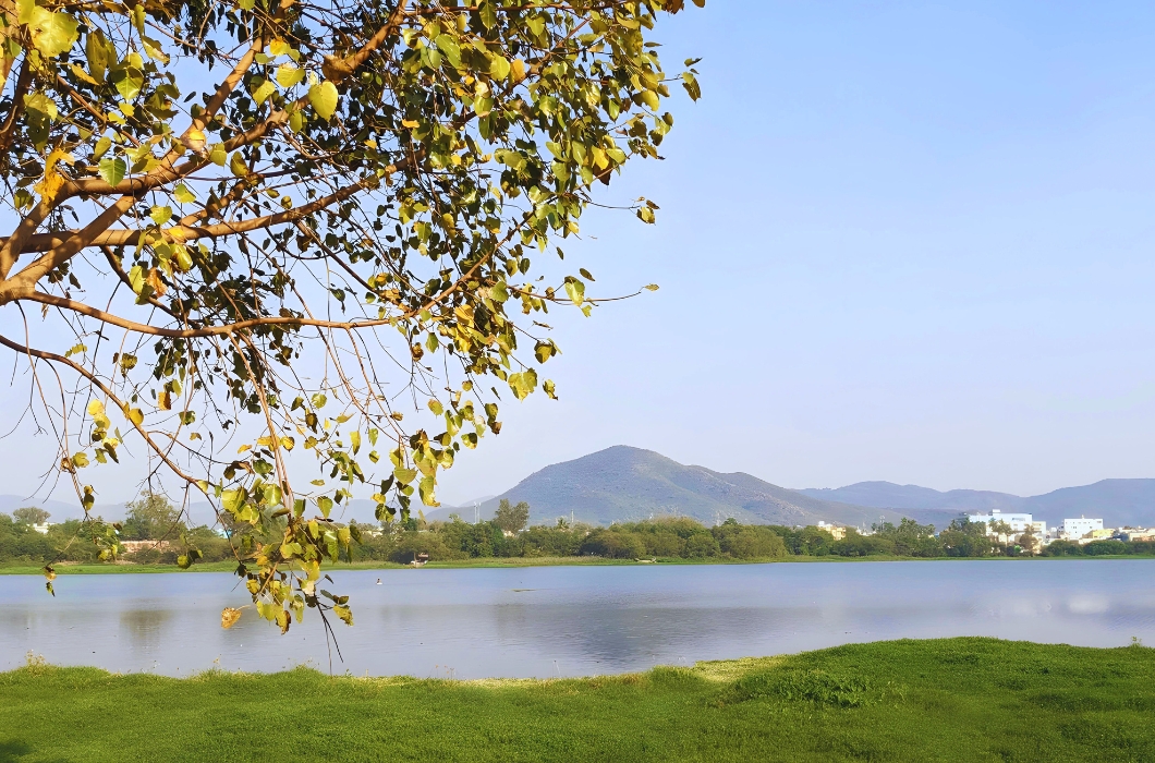 River and lash green view in Jeypore Boating Park