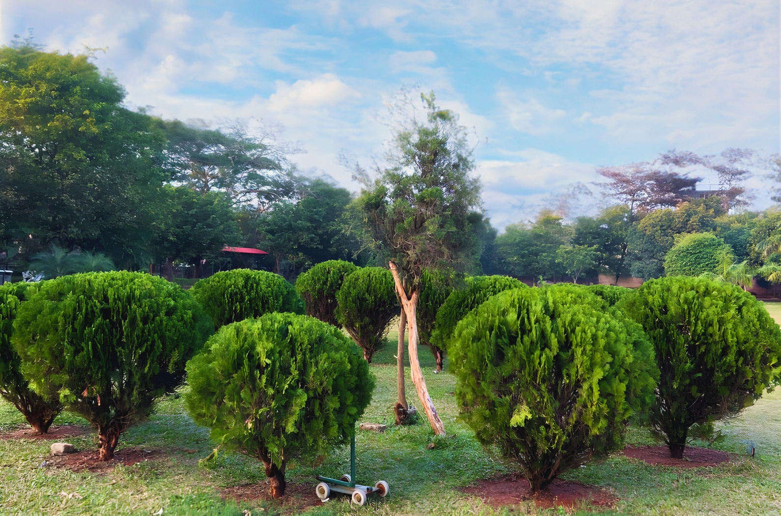 Kharavela Park