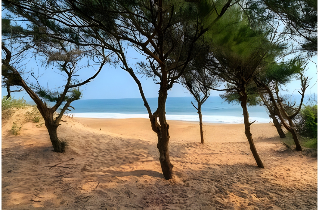 Konark Sea Beach