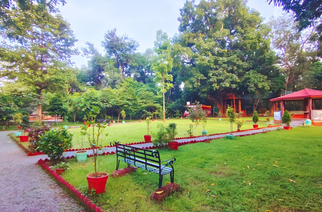 Sanaghagara Nature Camp