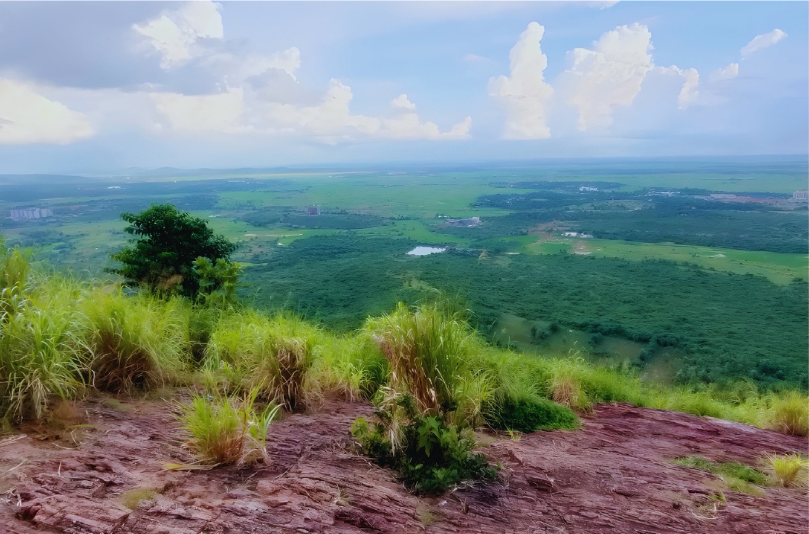 Sitakunda barunei