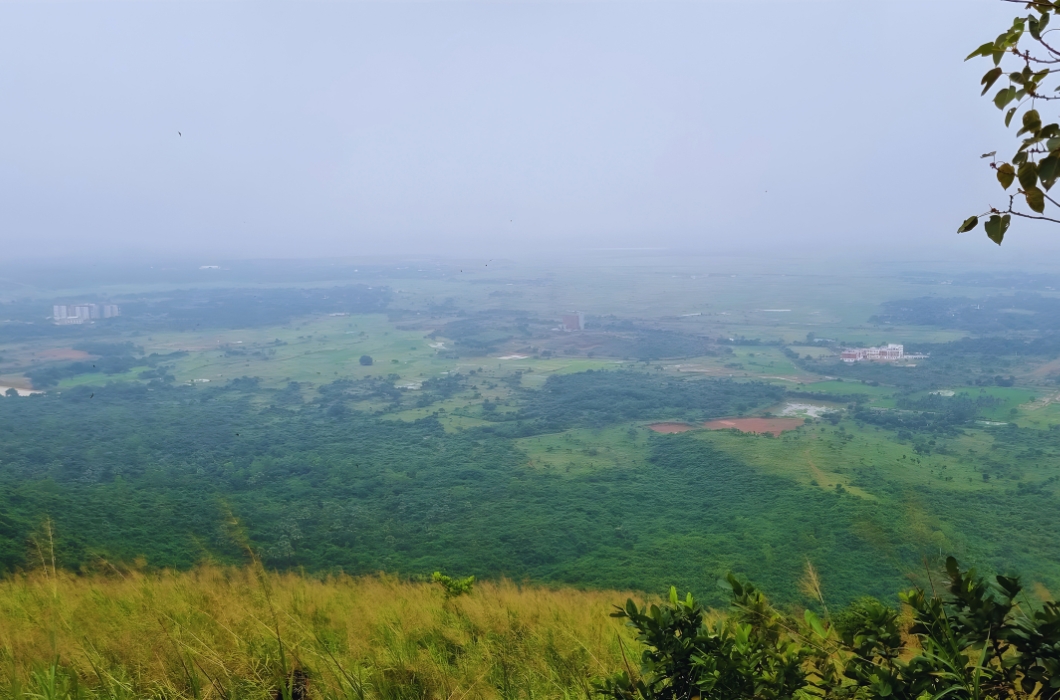 Sitakunda barunei