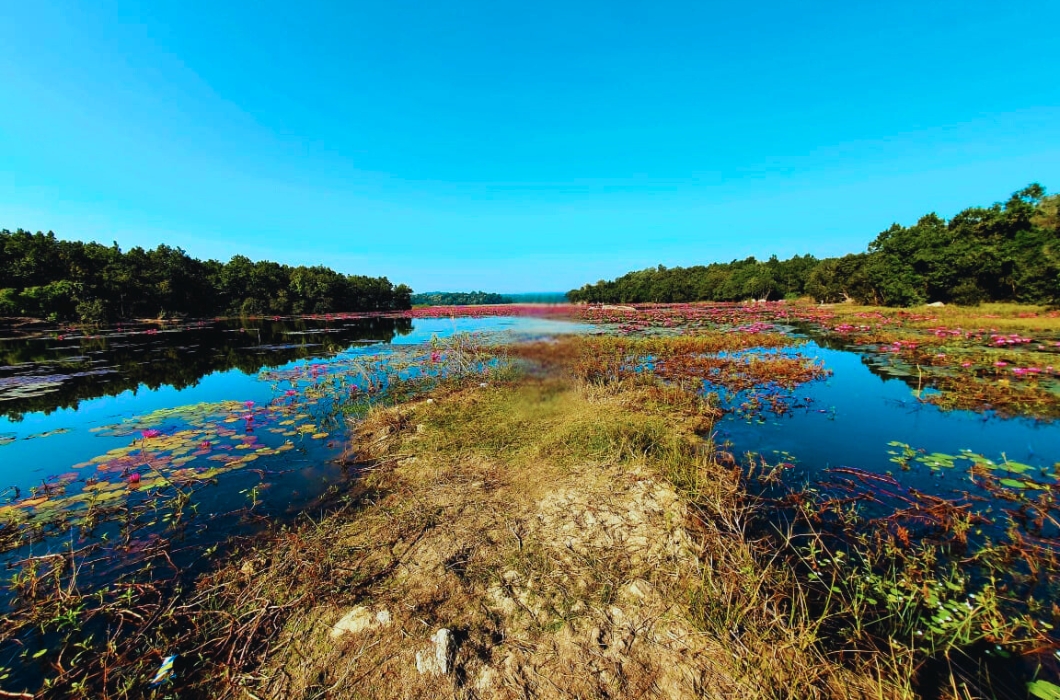 kuldiha Wildlife Sanctuary