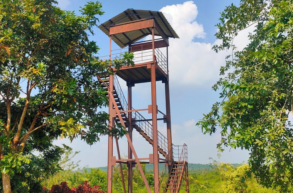 Chandaka Forest