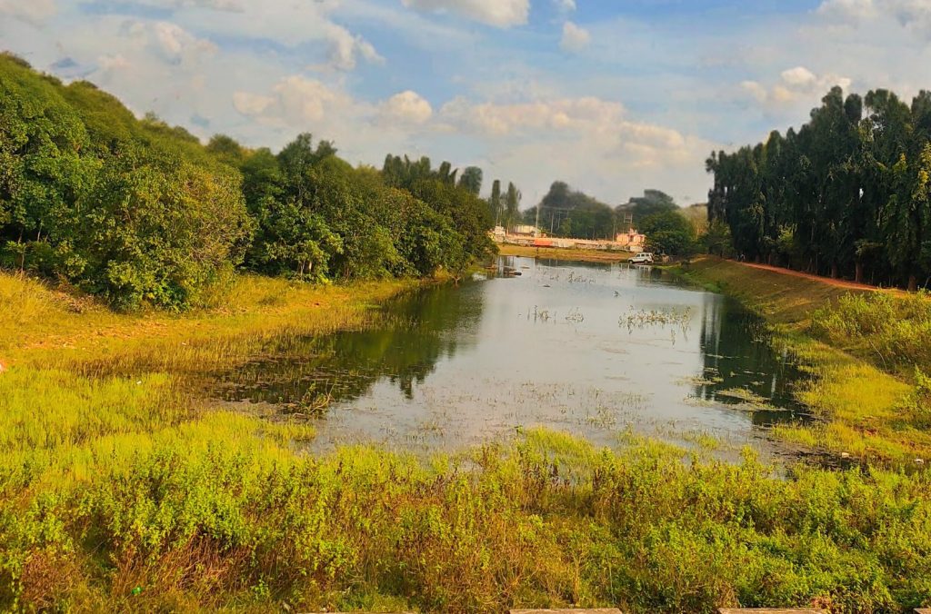 Chandaka Forest