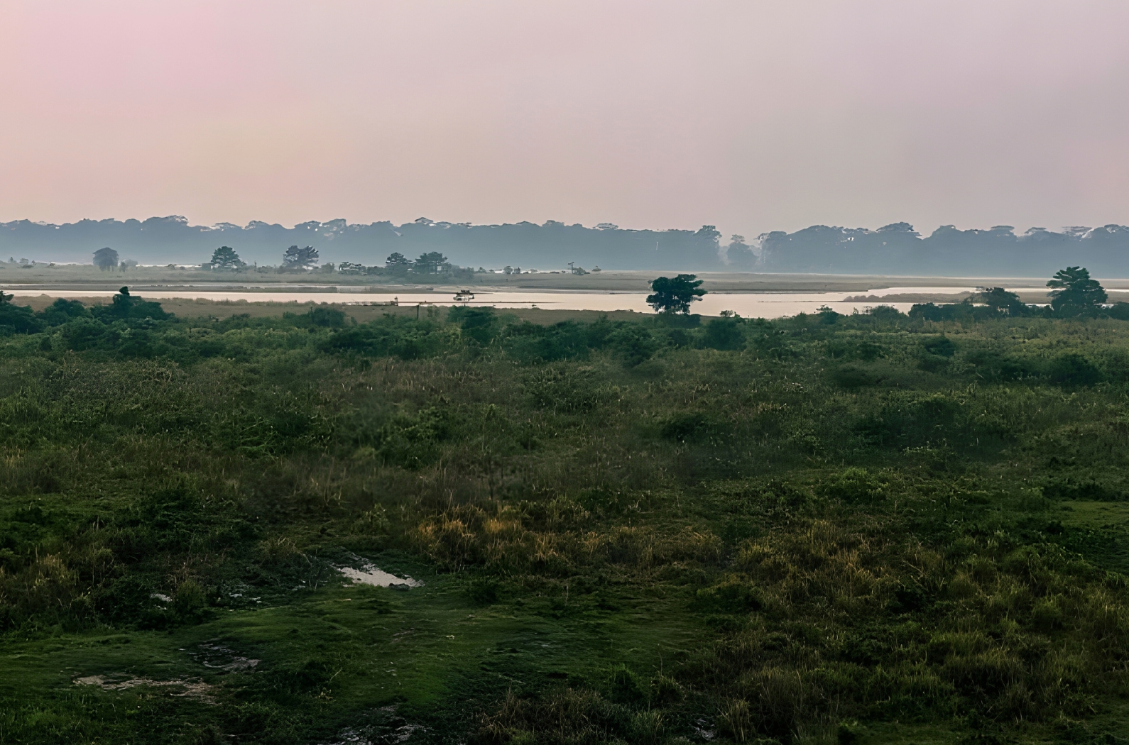 Chilapata Forest