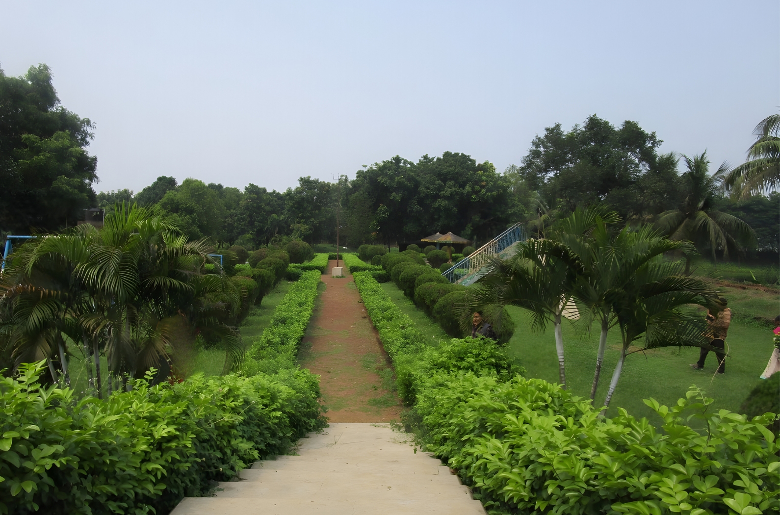 Deul Park .Bonkati.Burdwan's eye soothing green view