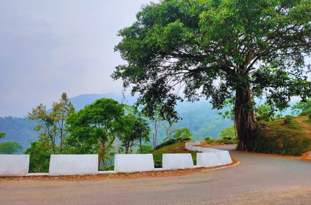 Hornbill View Point