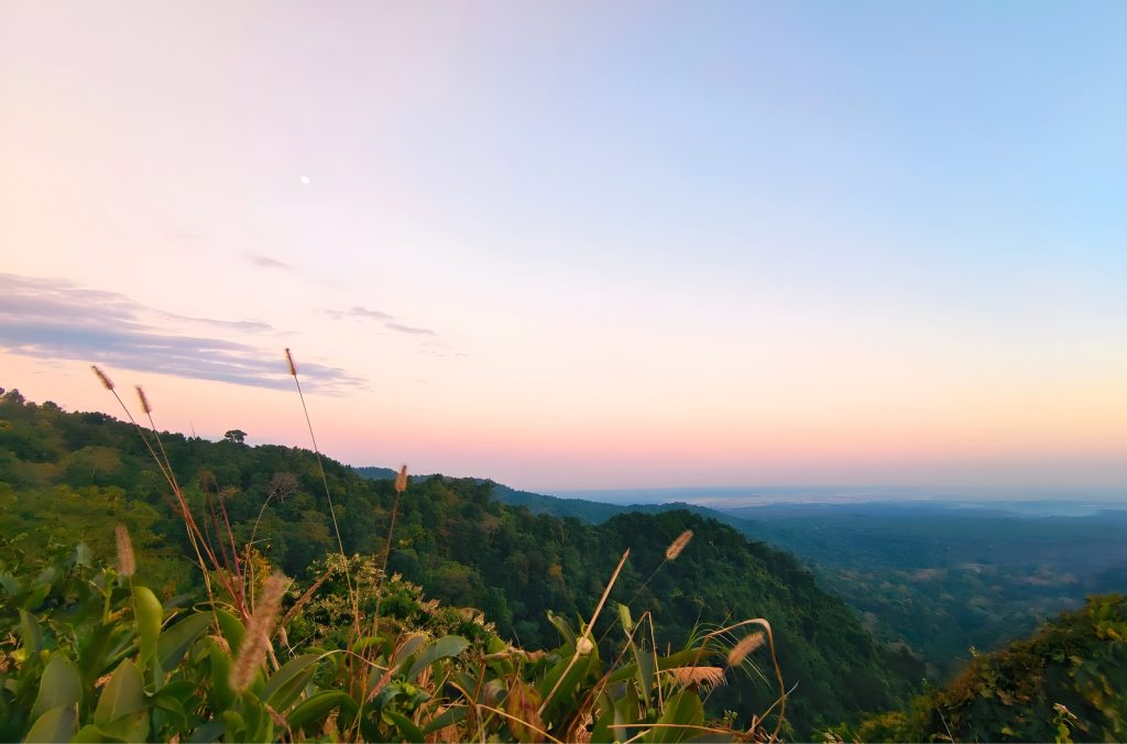 Hornbill View Point