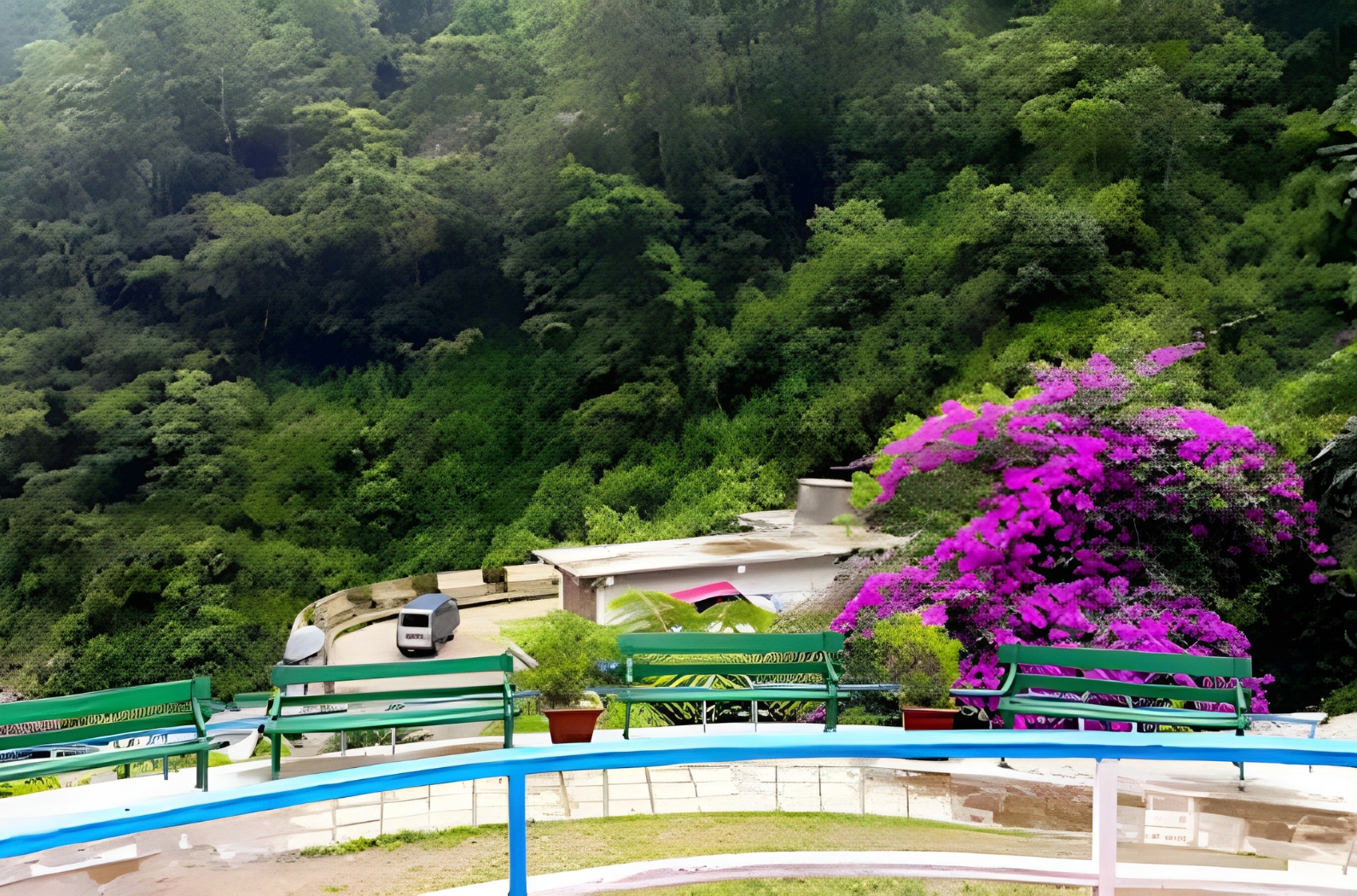 Kanchenjunga-View Point