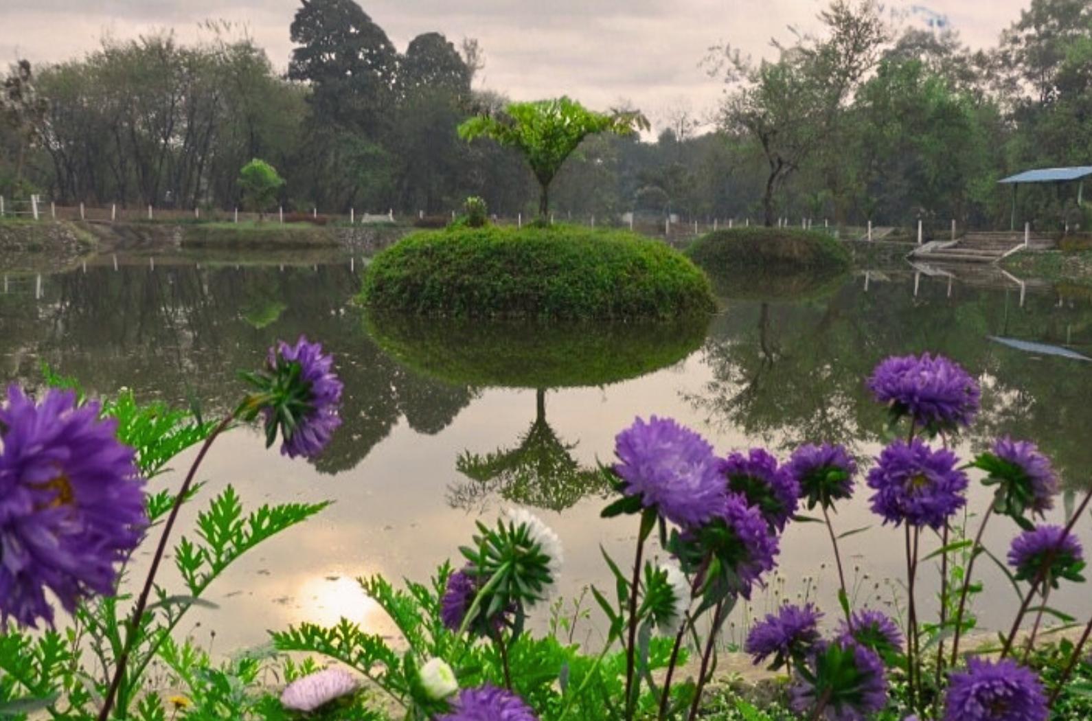 Nehru Traffic Park (STUDY PARK)