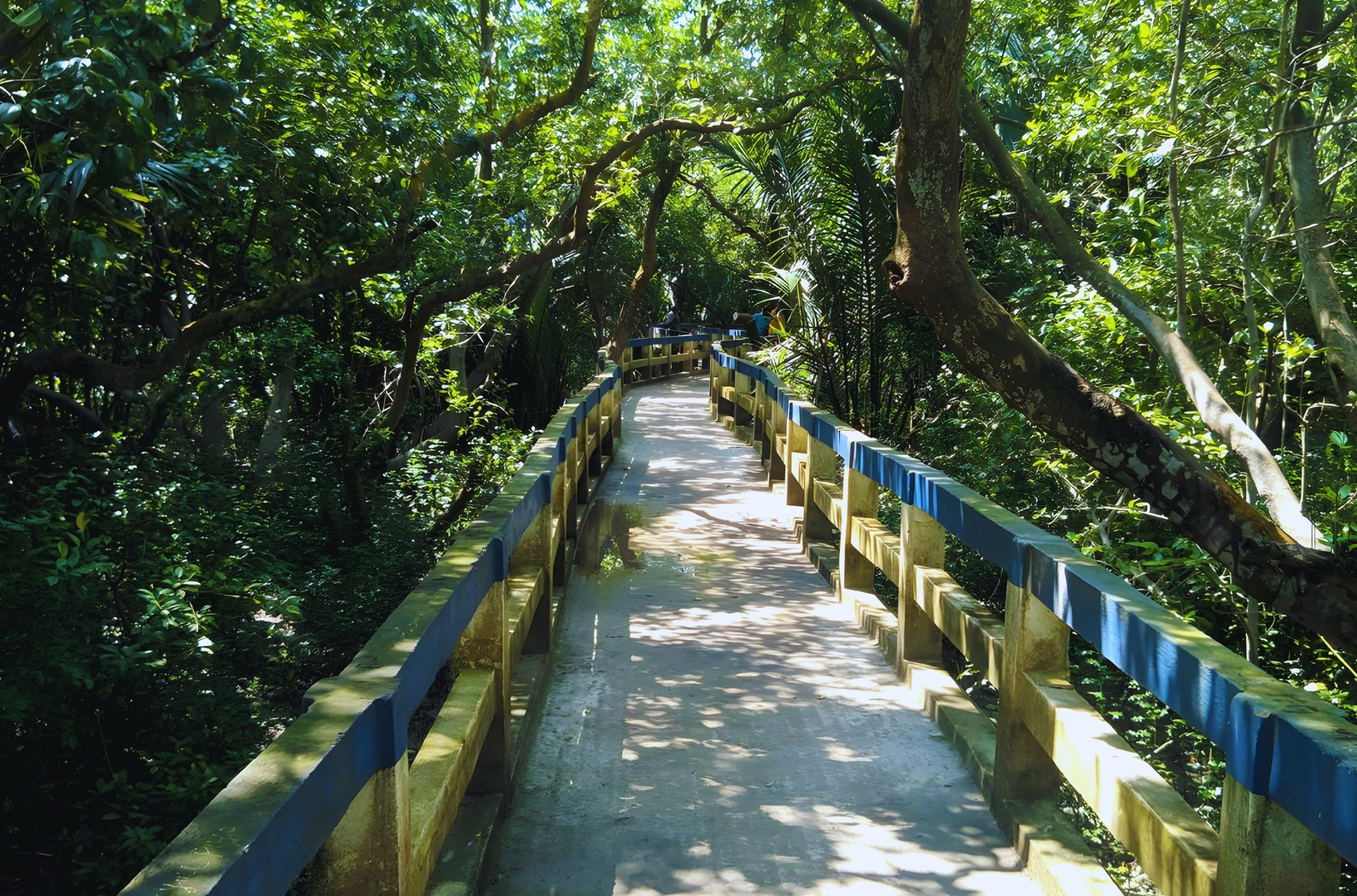 Taki Golpata Forest
