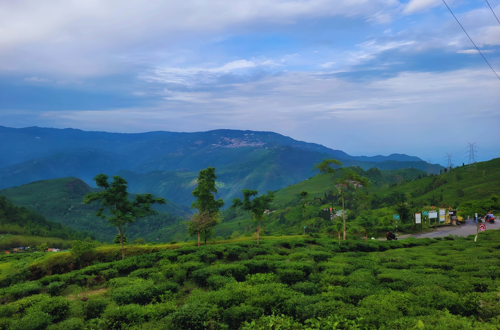 Tingling View Point