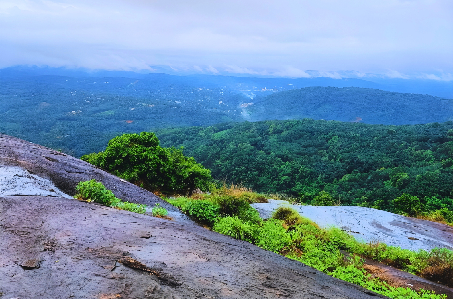 Ayyampara Hills