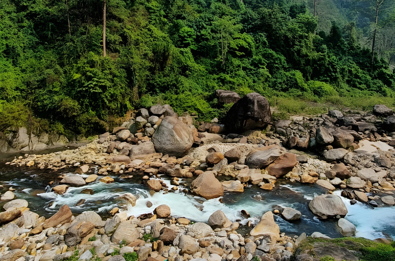 Buxa Tiger Reserve - Wild attraction