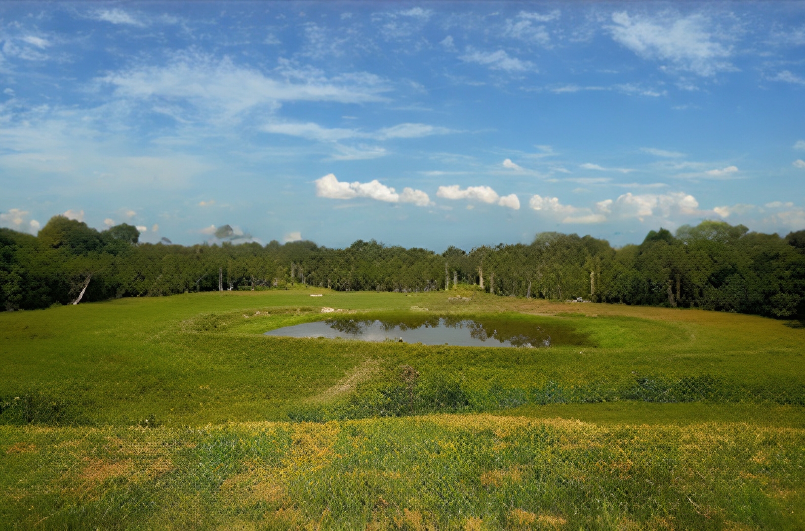 Chapramari Wildlife Sanctuary